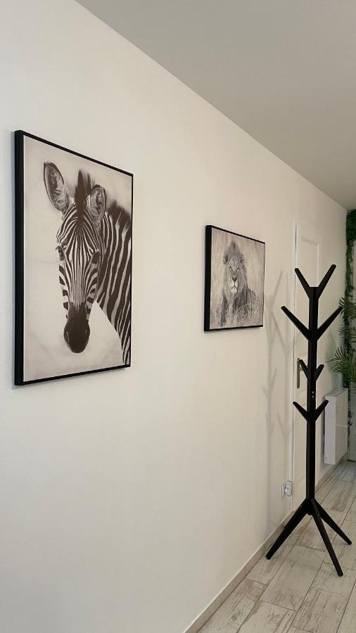 Tous'o'Zoo, au cœur du centre-ville Saint-Aignan  Extérieur photo