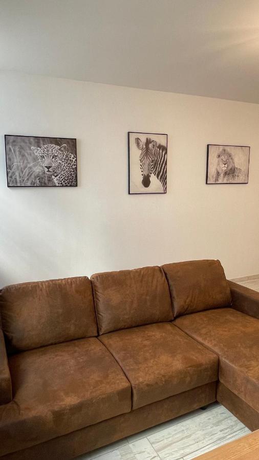 Tous'o'Zoo, au cœur du centre-ville Saint-Aignan  Extérieur photo