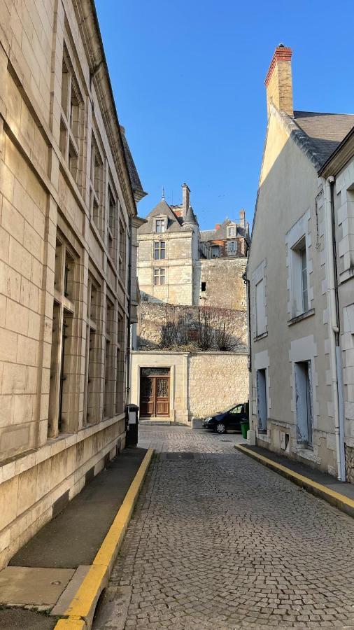 Tous'o'Zoo, au cœur du centre-ville Saint-Aignan  Extérieur photo