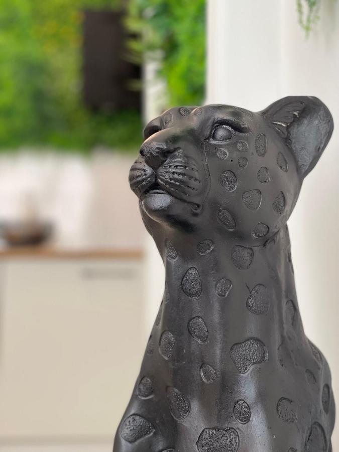 Tous'o'Zoo, au cœur du centre-ville Saint-Aignan  Extérieur photo