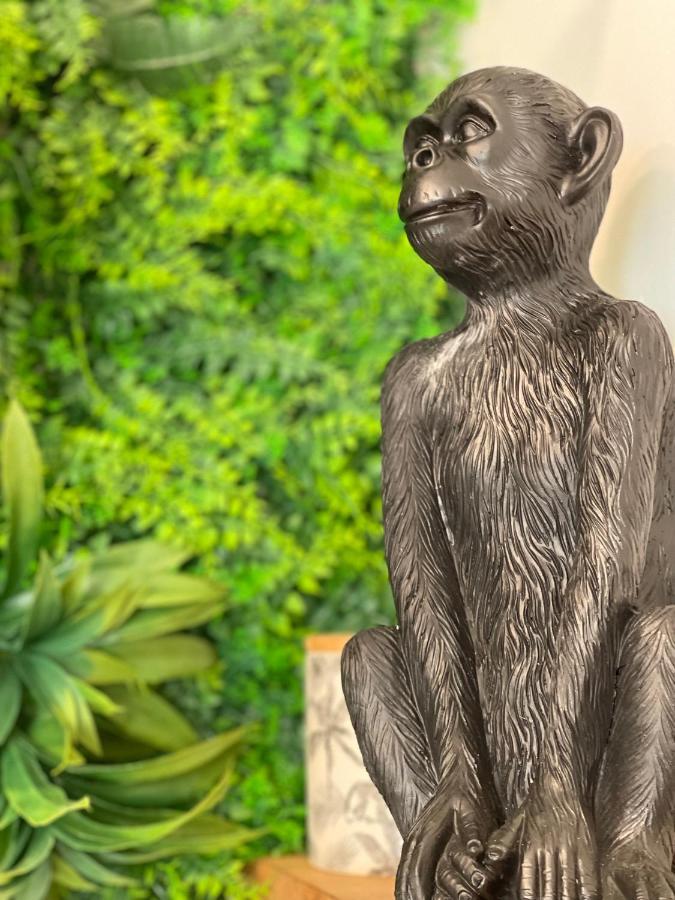 Tous'o'Zoo, au cœur du centre-ville Saint-Aignan  Extérieur photo